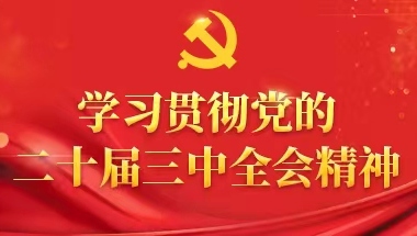 學(xué)習(xí)貫徹黨的二十屆三中全會(huì)精神